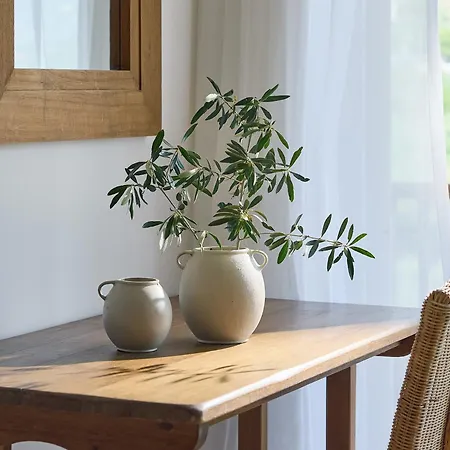 Hotell Grecotel Filoxenia 5*